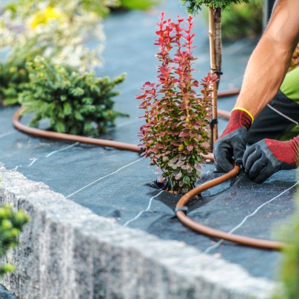 irrigation-system-for-trees