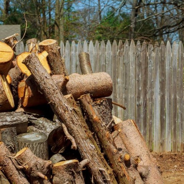 pile-of-cut-logs